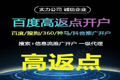竞价推广实战攻略：成功案例分享